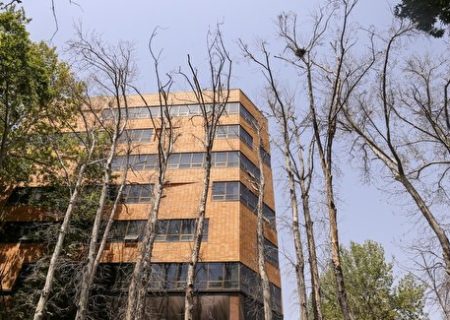 جریمه ۱۰ میلیارد تومانی برای قطع درختان خیابان ولیعصر